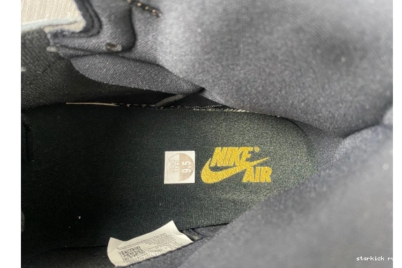 DZ5485-020  Palomino  DZ5485-020 OG 1  Retro High Jordan 0823